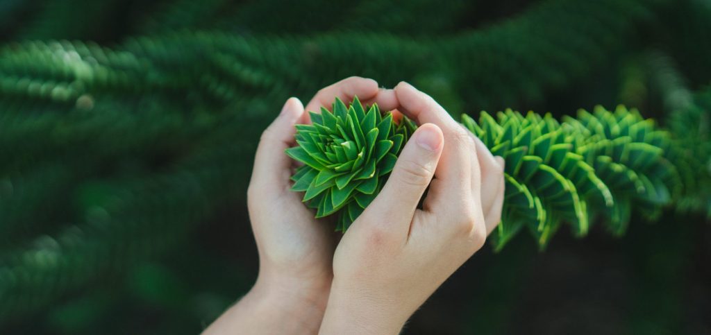 cropped-yavor-punchev-iSHwa3EaMlo-unsplash-3